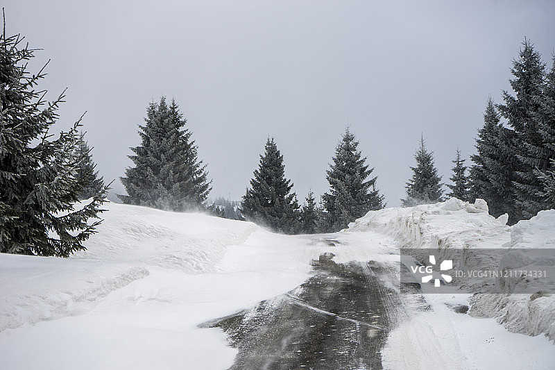暴风雪中泥泞的森林小路图片素材