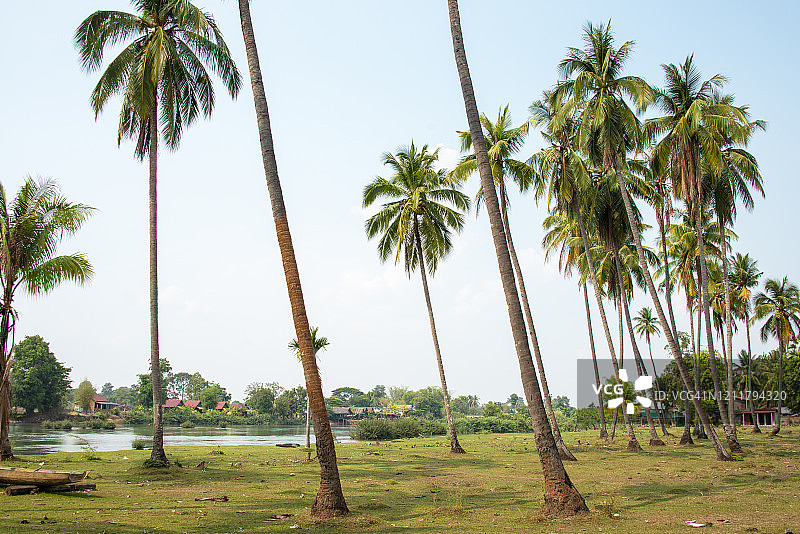 老挝南部占巴塞省湄公河上的四千岛图片素材