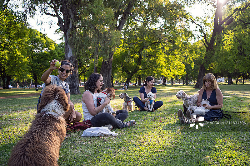 快乐的女性朋友和她们的狗在公园里度过美好时光图片素材
