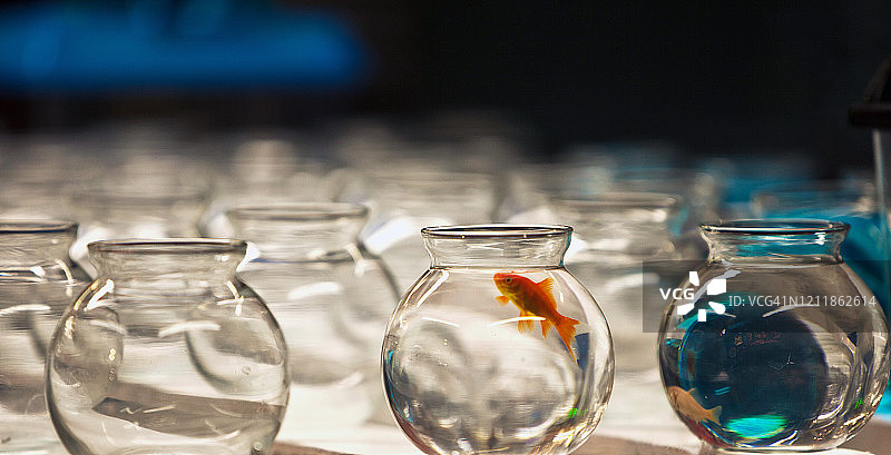 孤独的数字二图片素材