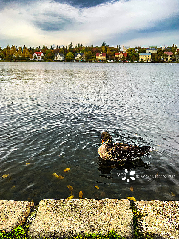冰岛雷克雅未克特约宁湖III图片素材