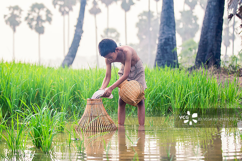 早晨在稻田上的亚洲农民钓鱼图片素材