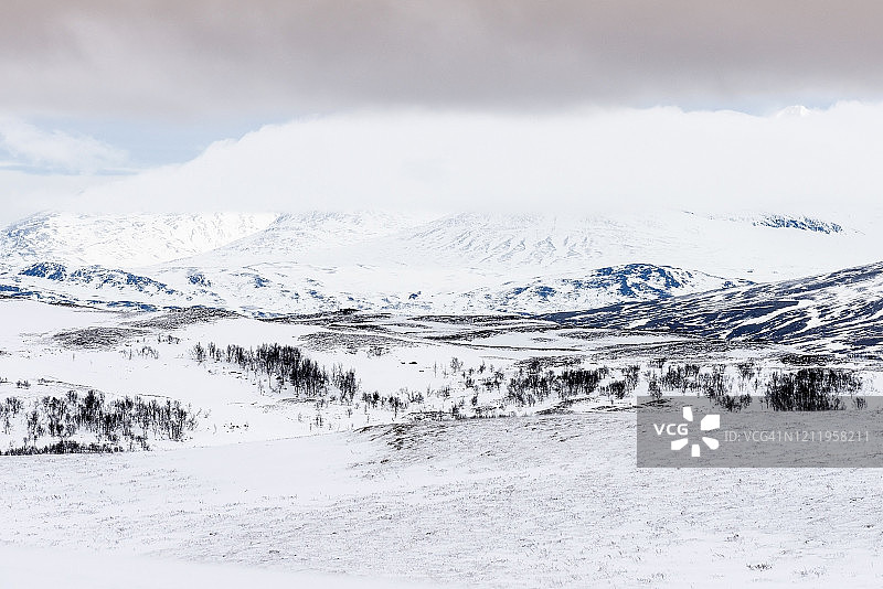 挪威勒罗斯附近的Kjolifjell荒野图片素材