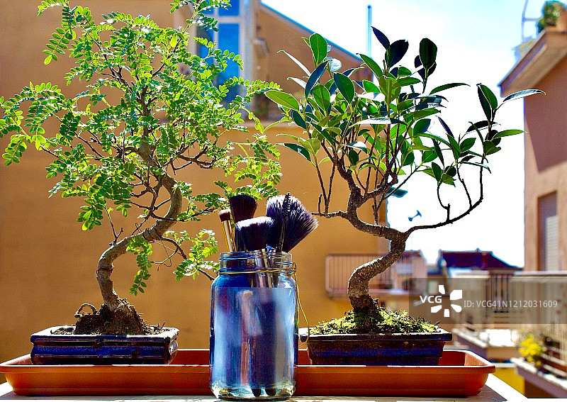 创意摄影：现代美与自然美图片素材