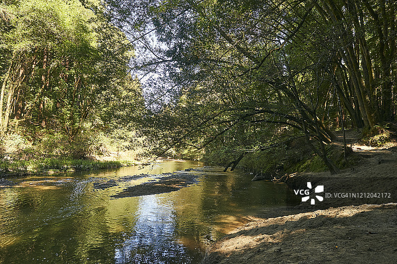 加利福尼亚州圣克鲁斯河岸景色图片素材