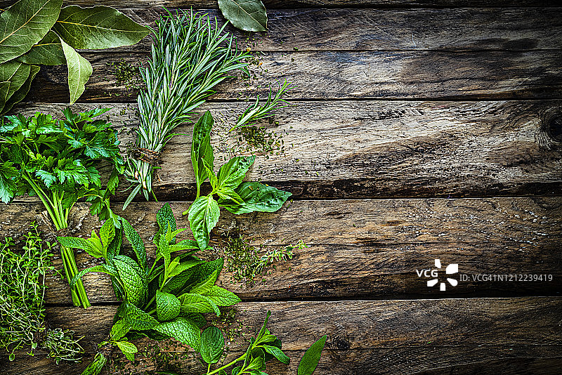 用于烹饪的新鲜有机香草图片素材