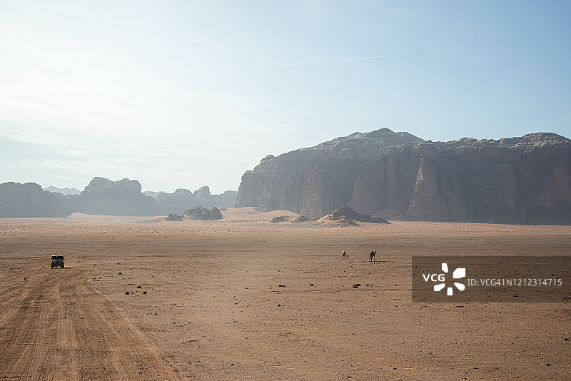吉普车和骆驼在约旦瓦迪拉姆沙漠中图片素材
