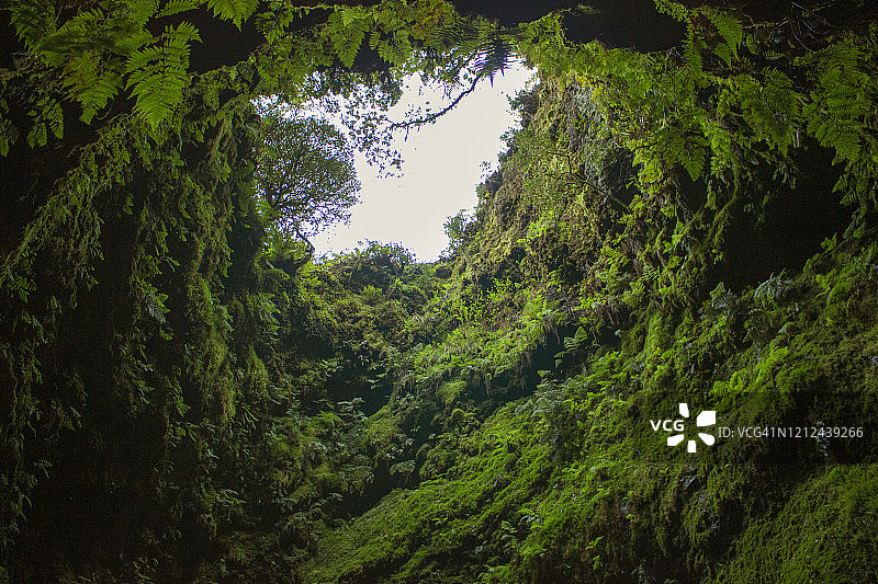 葡萄牙亚速尔群岛特塞拉岛阿尔加杜卡尔旺洞穴图片素材