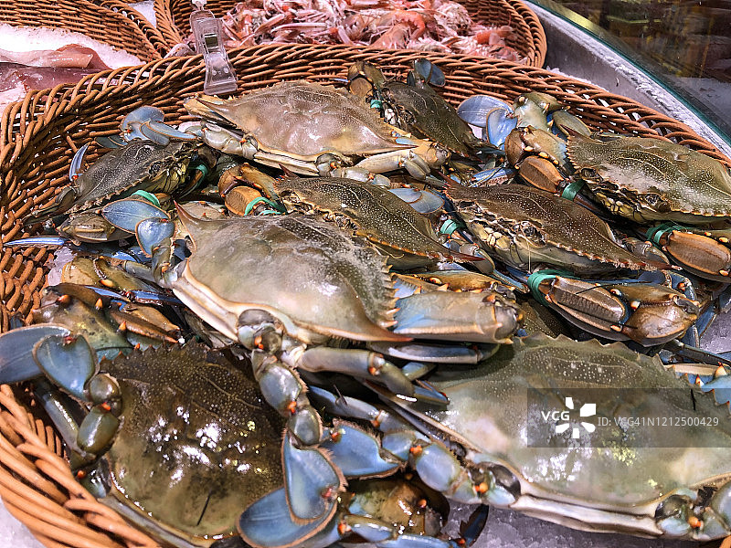 商店里的蓝色螃蟹图片素材