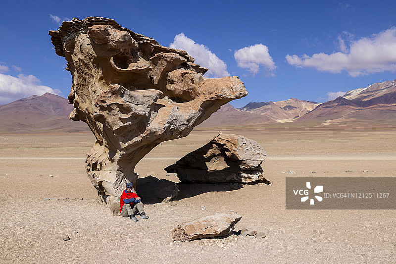 爱德华多·阿瓦罗阿国家保护区的石树图片素材