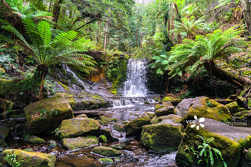 澳大利亚塔斯马尼亚菲尔德山国家公园的马蹄瀑布图片素材