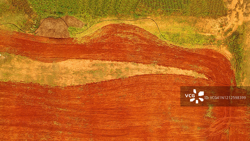 红色田野中工作的收割机图片素材