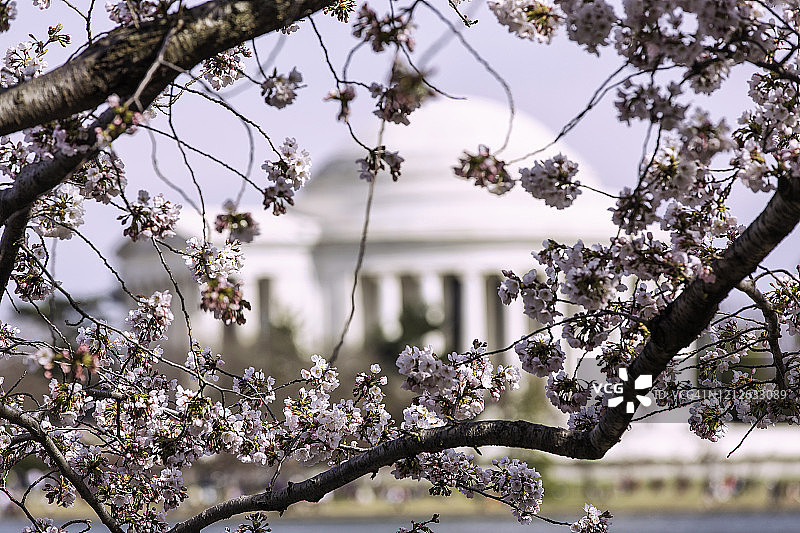 托马斯·杰斐逊被陷害图片素材