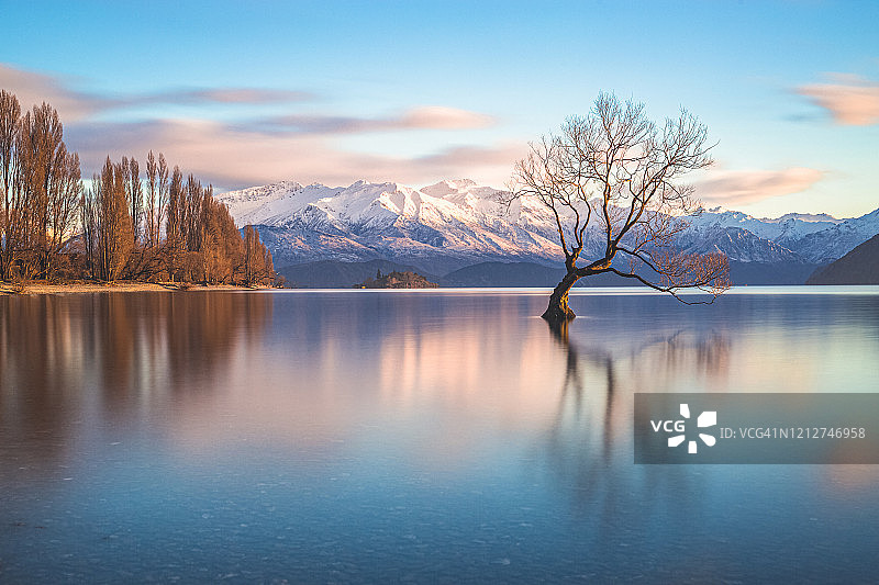 日出时瓦纳卡湖的著名孤树，新西兰南岛图片素材