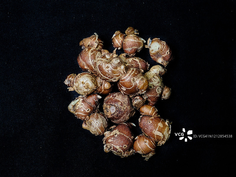 山奈（Kaempferia galanga，芳香姜，沙姜，凹唇姜或复活百合）图片素材