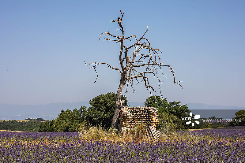 普罗旺斯之旅图片素材
