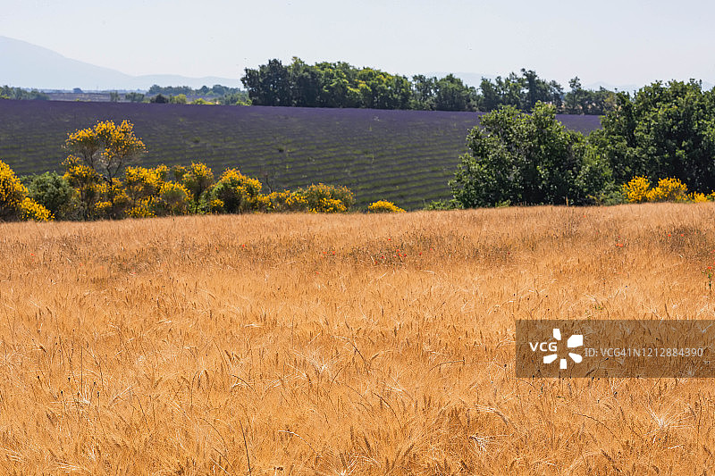 普罗旺斯之旅图片素材