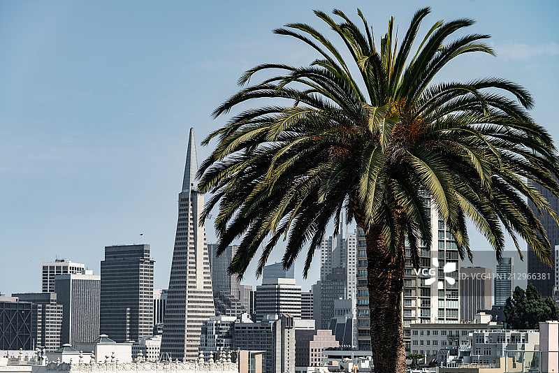 旧金山的天际线图片素材