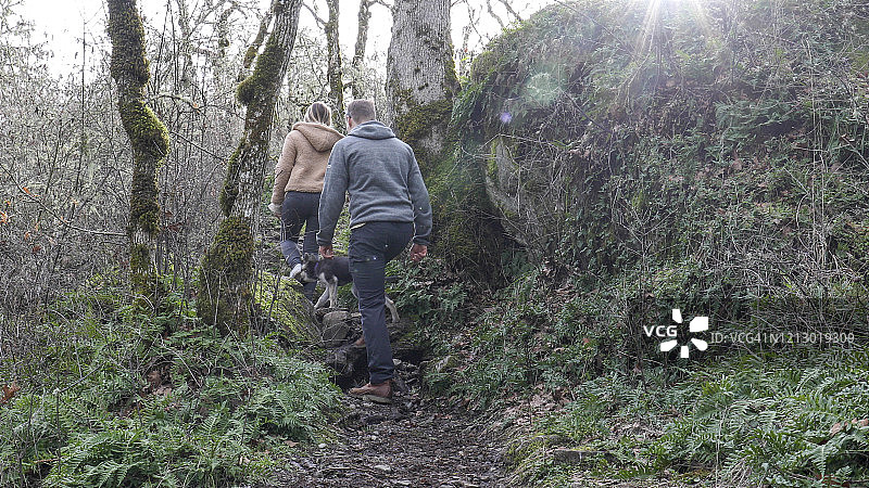 兄妹带着小狗徒步穿越森林图片素材