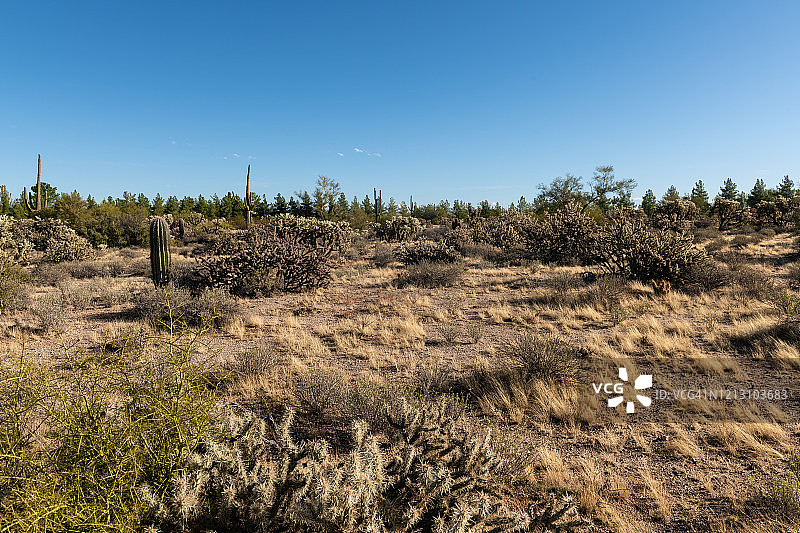亚利桑那州沙漠风光图片素材