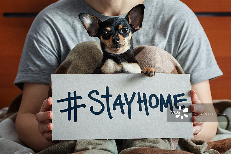 居家！图片素材