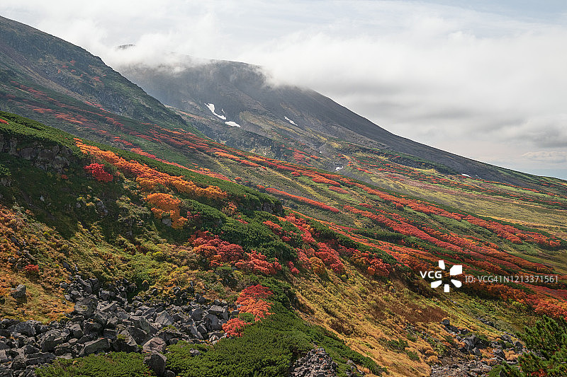 自然色彩图片素材