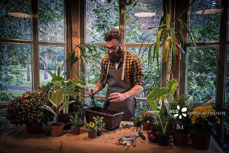 温室园艺图片素材