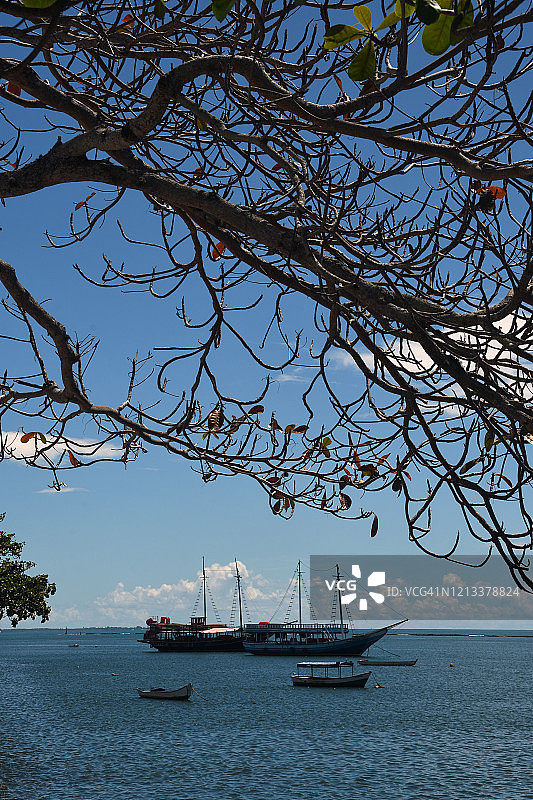 巴西巴伊亚州塞古罗港的纵帆船和船只图片素材