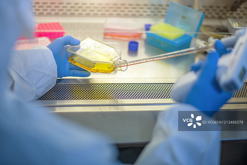 科学家在实验室里做实验图片素材