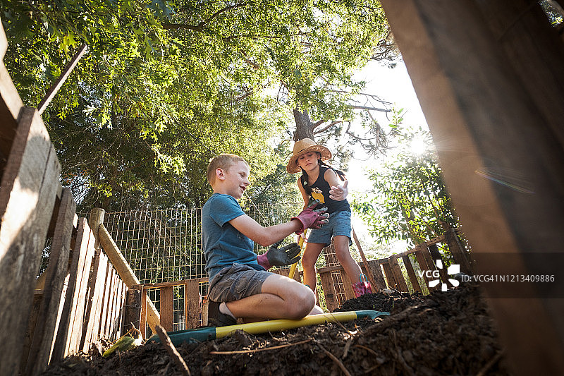 在堆肥堆中寻找蠕虫图片素材
