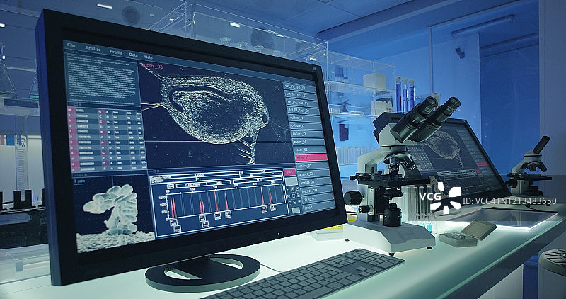 科学实验室：电脑屏幕上的水蚤图片素材