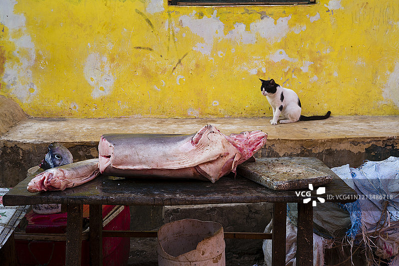 肯尼亚拉穆老镇主市场的新鲜农产品图片素材