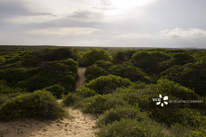 参观肯尼亚拉穆曼达岛上的塔克瓦遗址图片素材