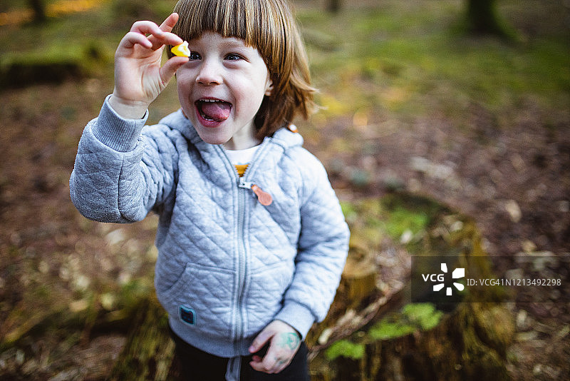 幼儿在森林里玩耍图片素材