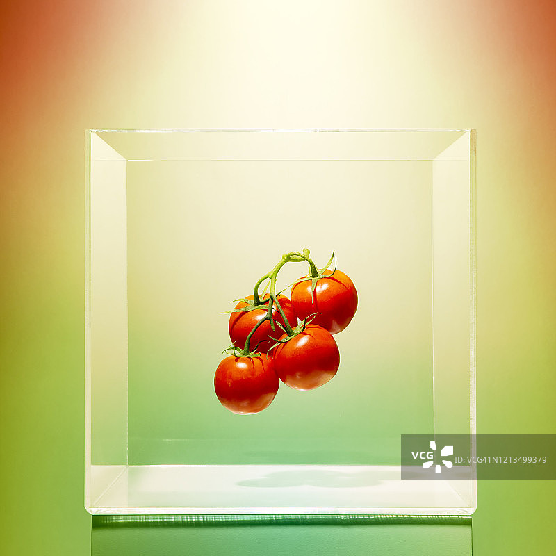 透明盒子里的番茄图片素材