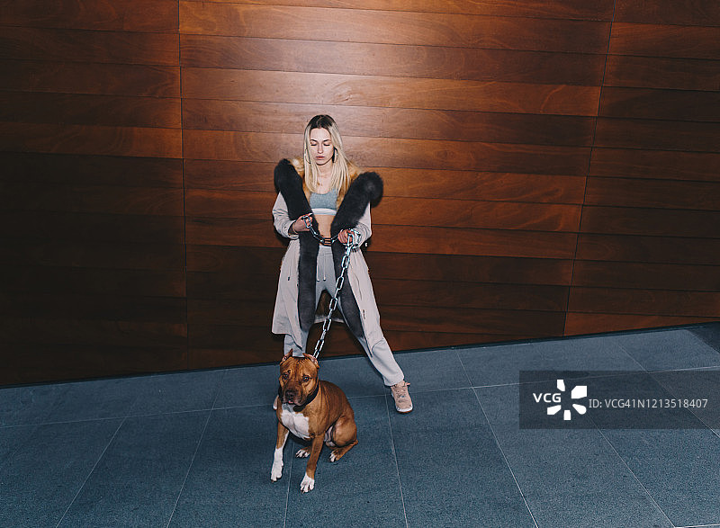 穿着白色毛皮夹克的金发女子牵着比特犬图片素材