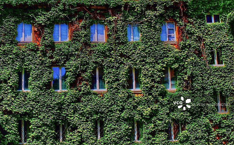 绿意盎然的建筑图片素材