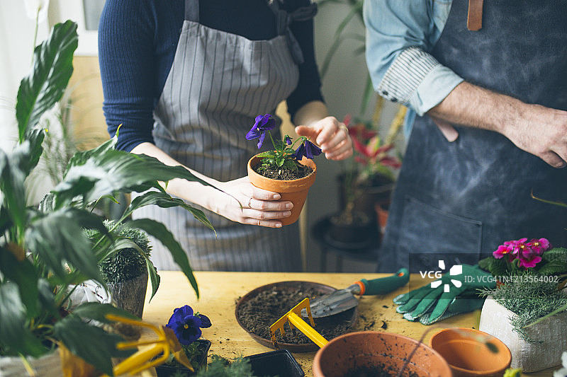 园艺课图片素材