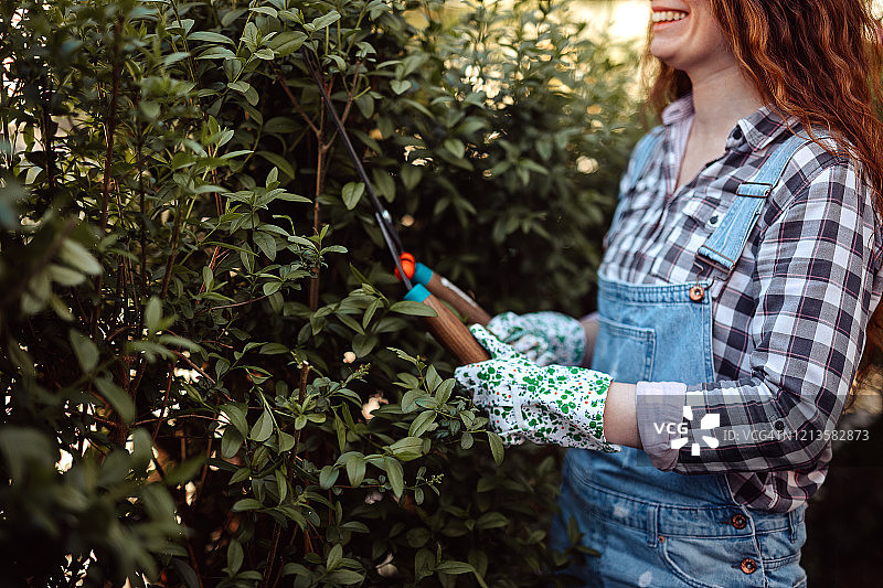 笑容满面的女人修剪树篱图片素材