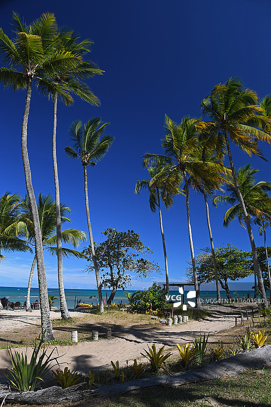 巴西巴伊亚州塞古鲁港埃斯佩柳海滩图片素材