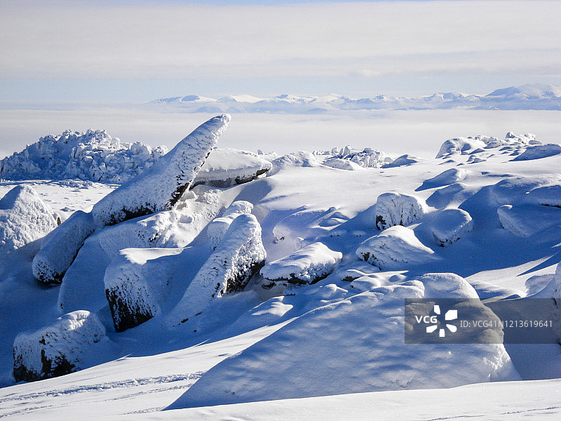维托沙国家公园的雪景图片素材