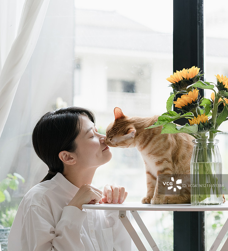 亚洲女人和虎斑猫图片素材