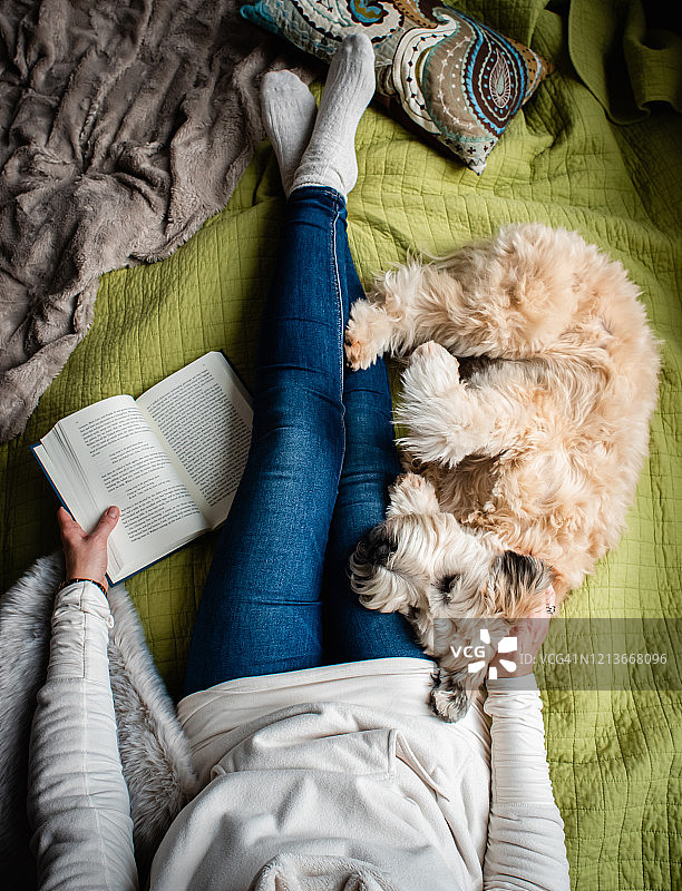 在床上，拿着书和她的狗的女人的躯干的俯视照片图片素材