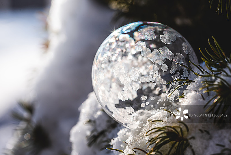 冬日雪树上冻结的肥皂泡图片素材