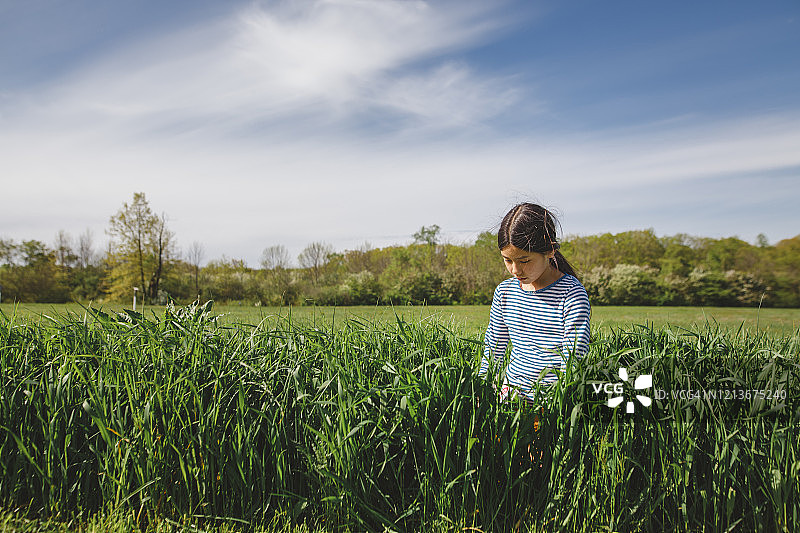 春天，少女安静地坐在草地上阅读图片素材
