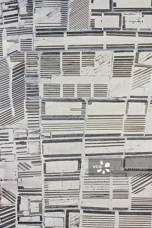 法国康卡勒的牡蛎养殖场图案图片素材