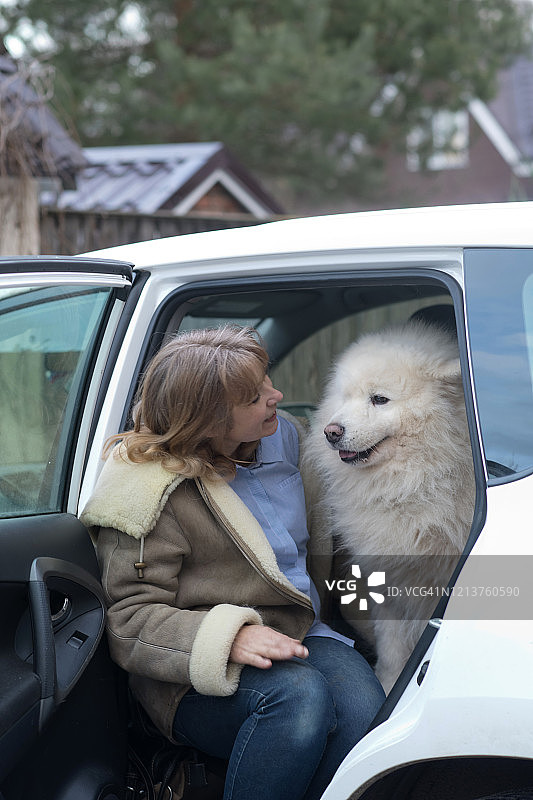 车内女子与萨摩耶犬图片素材
