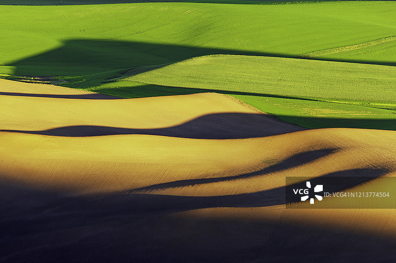 华盛顿州帕卢斯农业区日落时分美丽的麦田和山坡图片素材