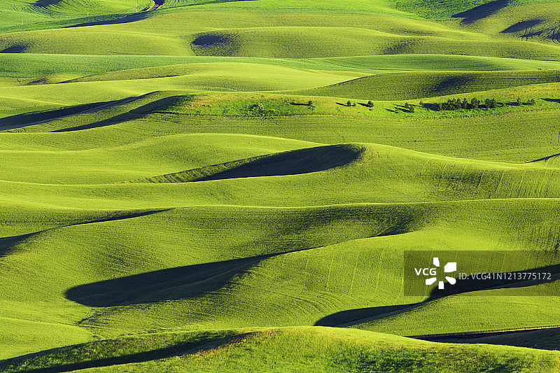 华盛顿州帕卢斯农业区日落时分美丽的麦田和山坡图片素材