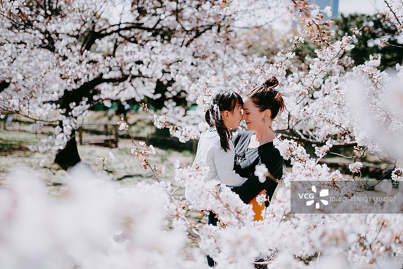 母子与樱花，日本东京图片素材